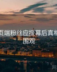 杏吧网页端粉丝应援幕后真相，欢迎围观