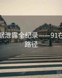 焦点数据泄露全纪录——91在线传播路径