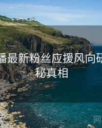 杏吧直播最新粉丝应援风向研判，揭秘真相